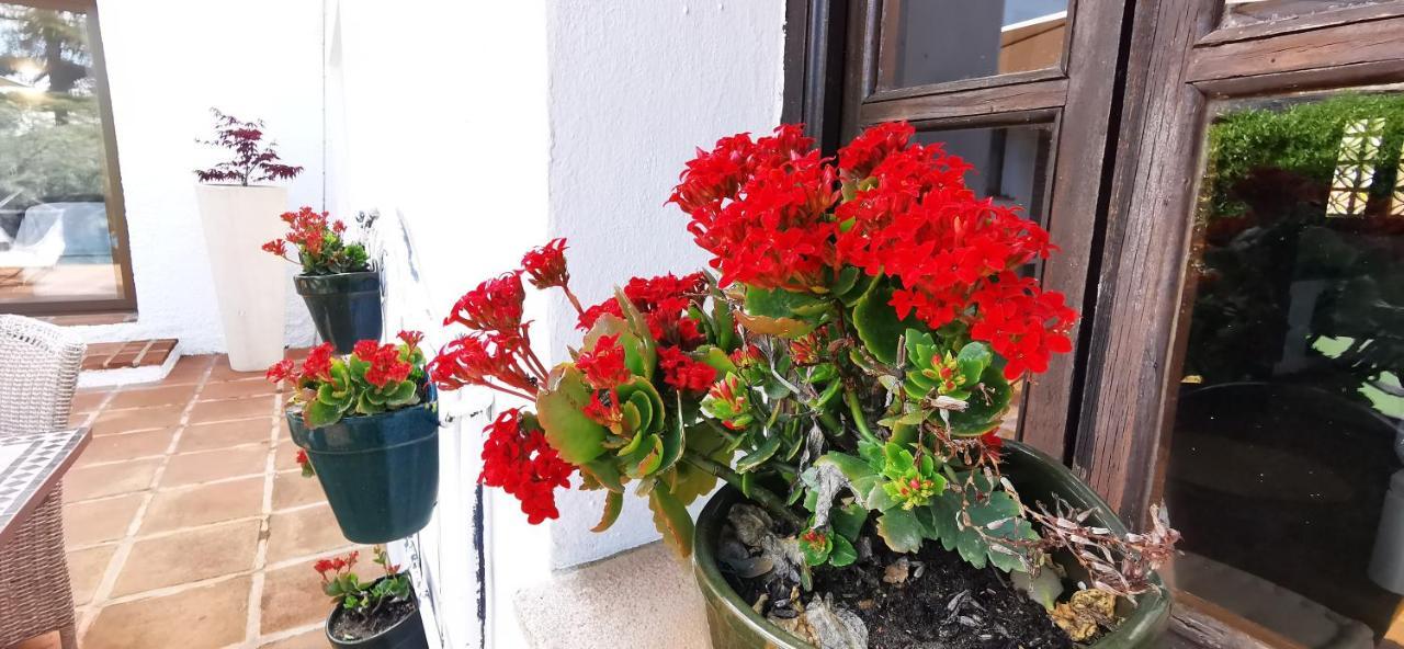 Roca Verde, Boutique Bed & Breakfast (Adults Only) 알하우린데라토레 외부 사진