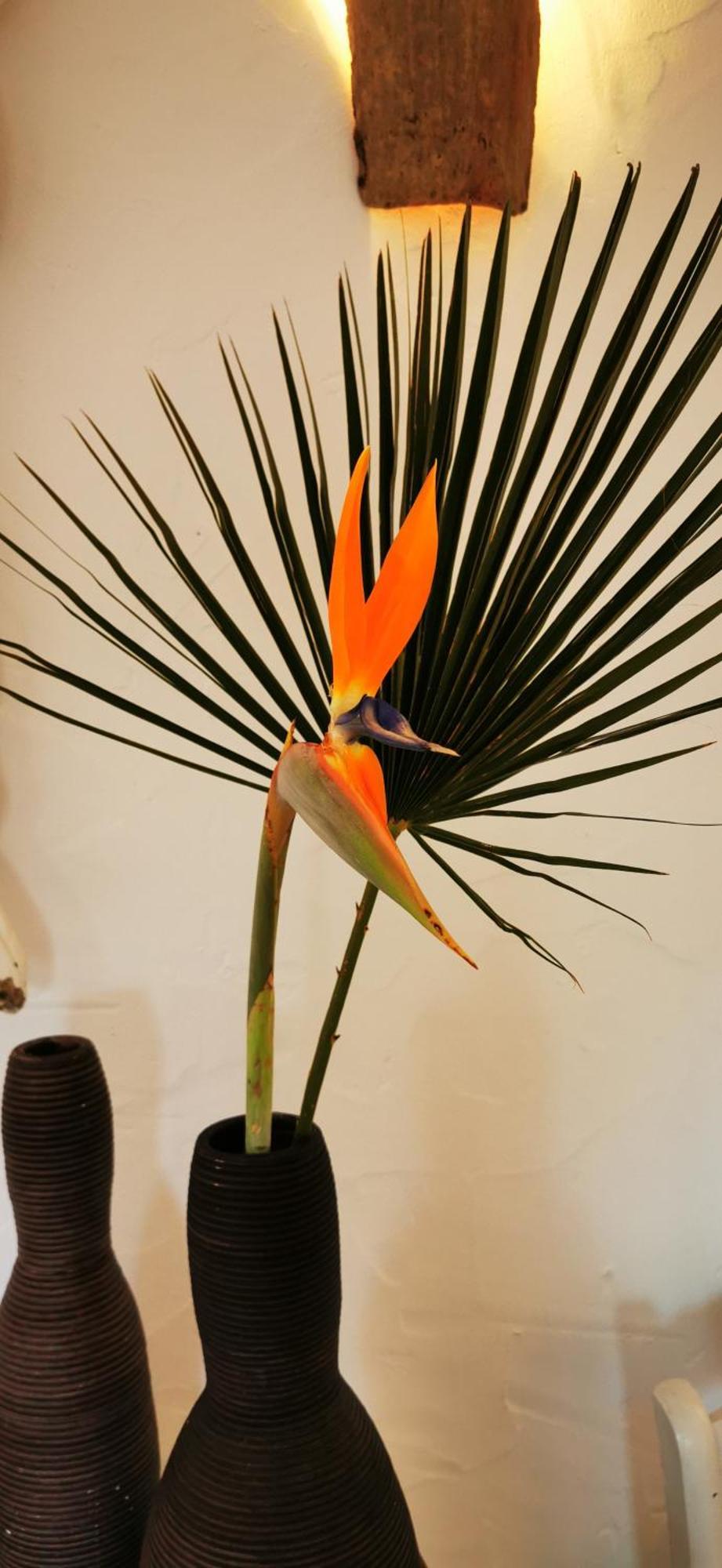Roca Verde, Boutique Bed & Breakfast (Adults Only) 알하우린데라토레 객실 사진