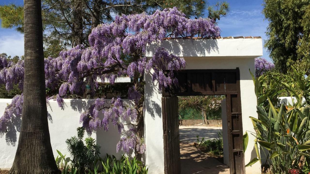 Roca Verde, Boutique Bed & Breakfast (Adults Only) 알하우린데라토레 외부 사진