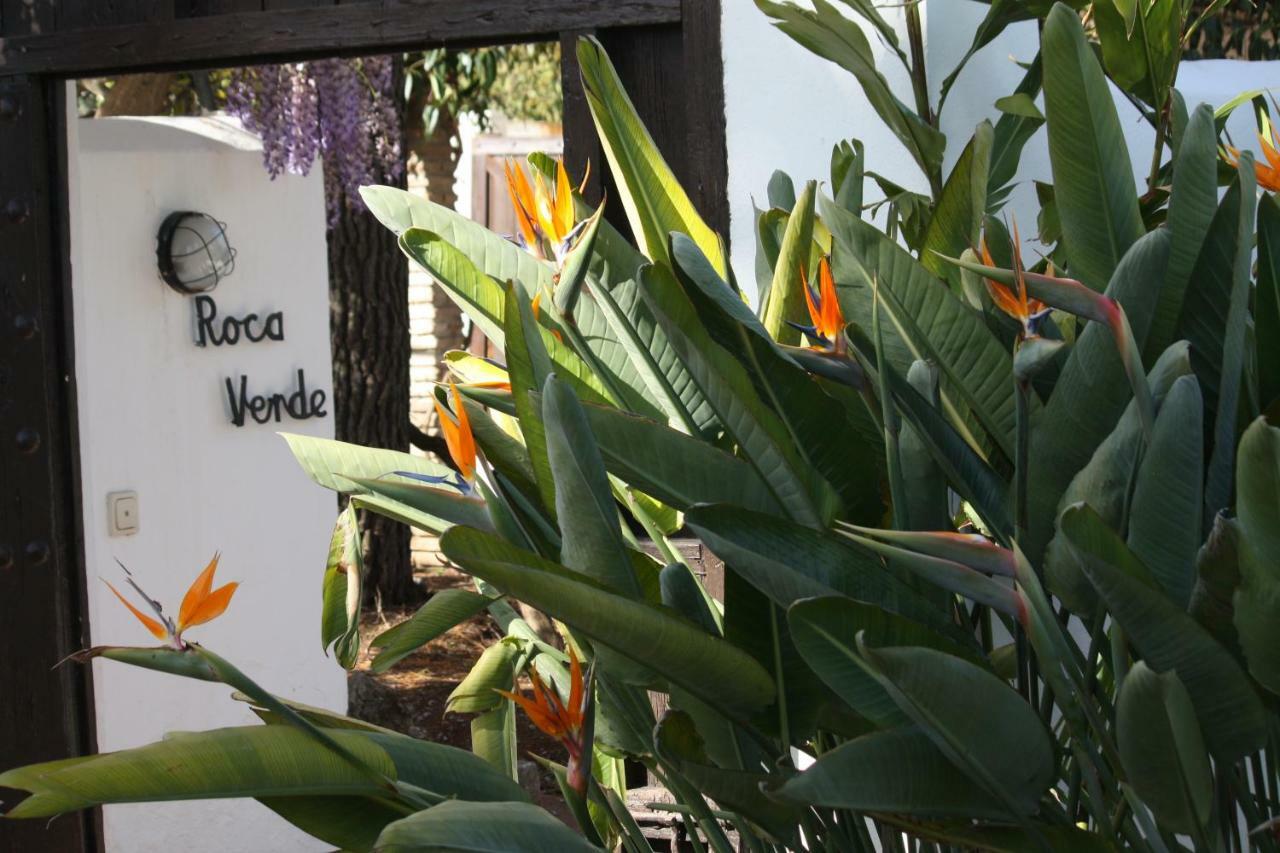 Roca Verde, Boutique Bed & Breakfast (Adults Only) 알하우린데라토레 외부 사진