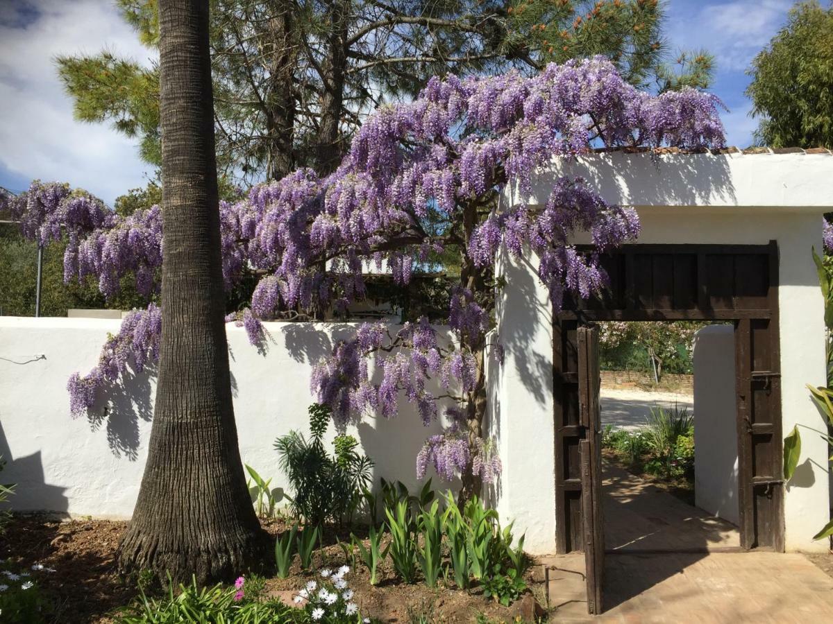 Roca Verde, Boutique Bed & Breakfast (Adults Only) 알하우린데라토레 외부 사진