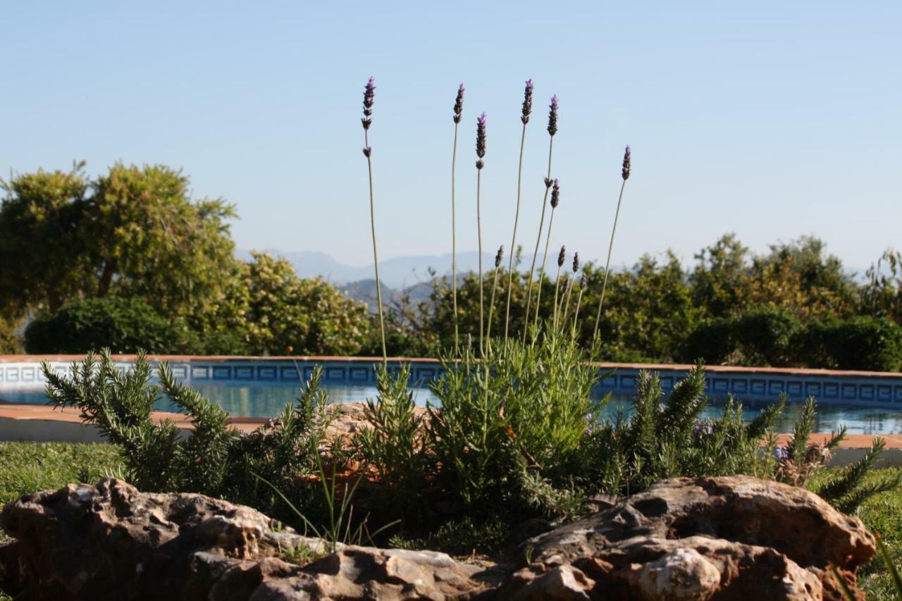 Roca Verde, Boutique Bed & Breakfast (Adults Only) 알하우린데라토레 외부 사진